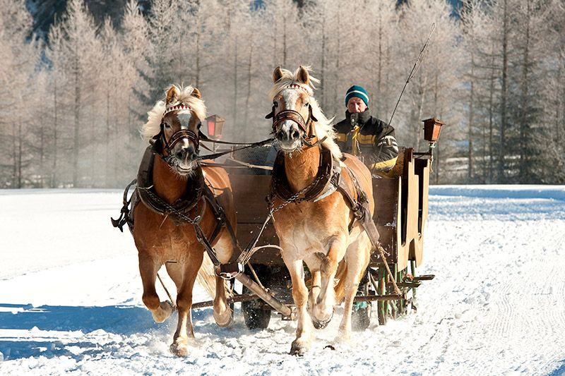 Längenfeld Kutschenfahrt